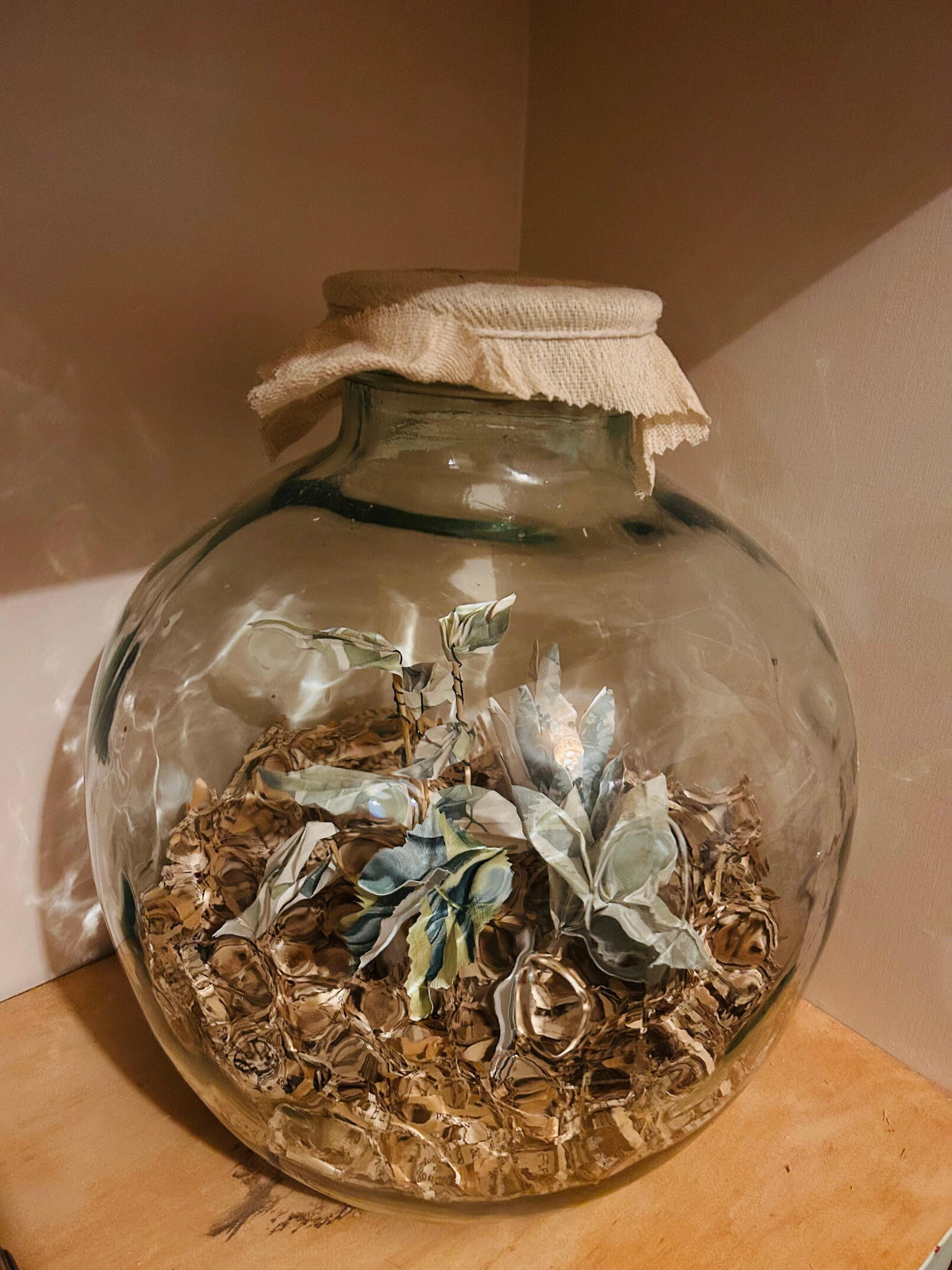 Origami plant terrarium 2